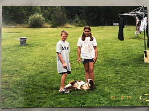 backyard brittany spaniel